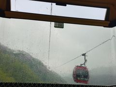 -栾川竹海野生动物园