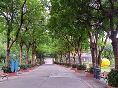 -观澜湖生态运动公社