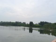 -东郊湿地公园