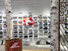 -allbirds(三里屯太古里南区店)