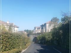 -千岛湖天屿景区