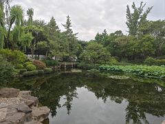-秋霞圃