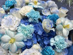 -溪岸路花鸟市场