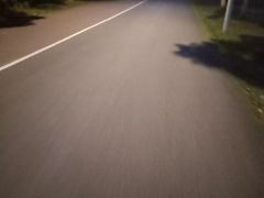 -艾溪湖湿地公园