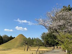 -水前寺成趣园