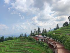 -紫鹊界梯田景区