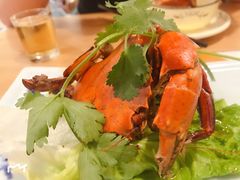-鑫阿强海鲜大排档·老厦门特色菜(中山路店)
