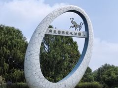 -同里国家湿地公园