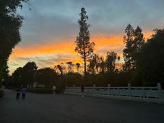 -洋湖国家湿地公园