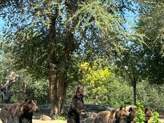 -北京野生动物园