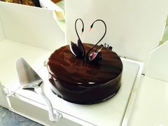 -BLACKSWAN黑天鹅(环球店)