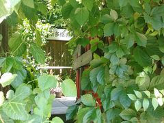 -斯多格书乡(北京大学畅春园店)