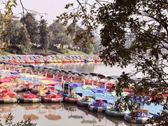 -枫香湖儿童公园