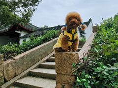 -丝绸小镇荻港古村