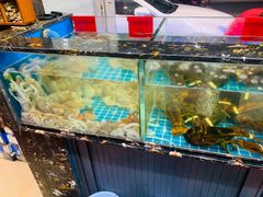 -金海湾海鲜排档(朱家尖店)