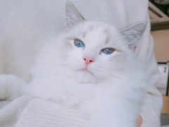 -听TA说宠咖·宠物生活馆(天韵水岸店)