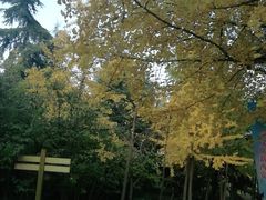 -城市运动公园(未央区)
