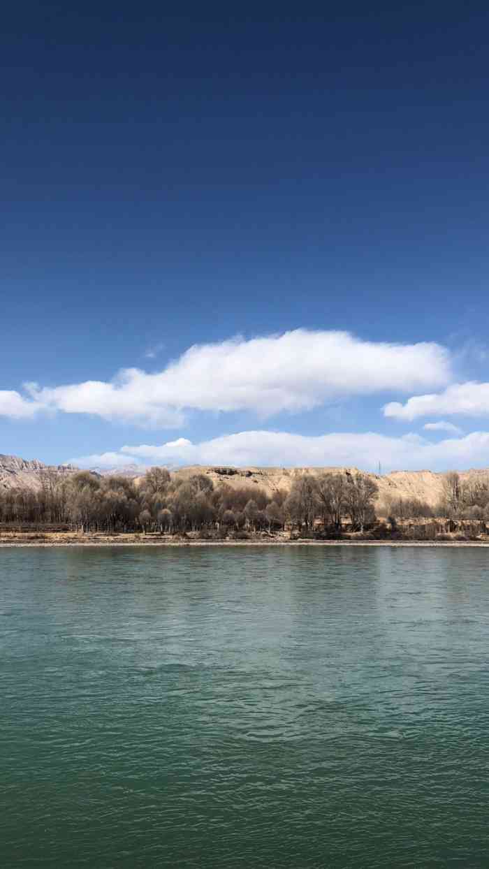 贵德黄河梨花小镇