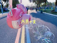 -羊山湖公园