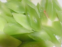 麻油莴笋-卤儿道道(龙游路店)