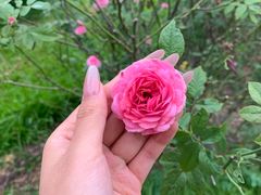 -人民公园(罗湖区)