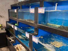 -华盛丰温州大排档(东三环南路店)