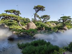 -罗红摄影艺术馆