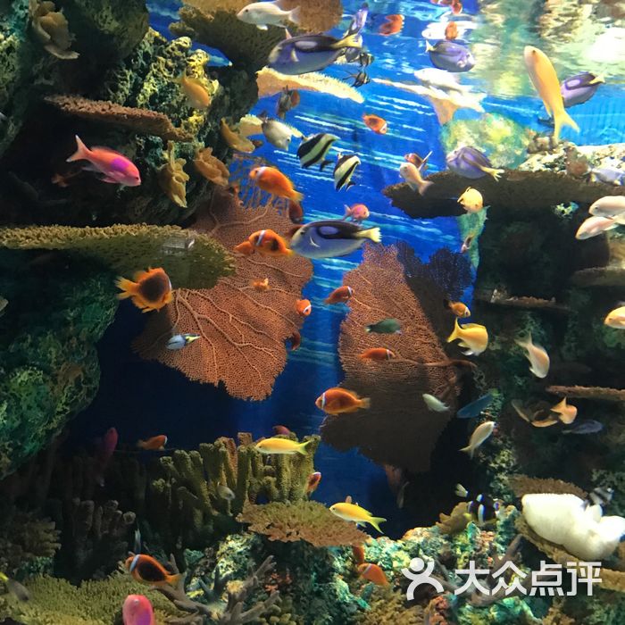 上海海洋水族館