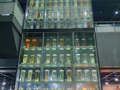 -广东中医药博物馆