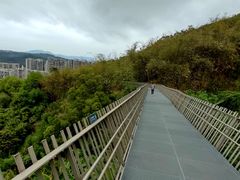 -福道