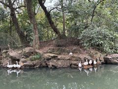-兰亭风景区