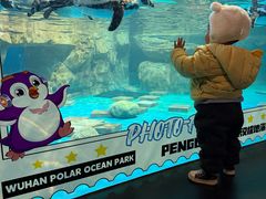 -海合安武汉极地海洋公园