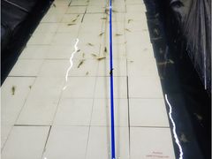 -小象钓虾·营地烧烤(洛溪店)