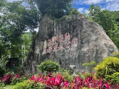 -西双版纳原始森林公园