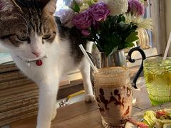 -海边的猫和咖啡馆