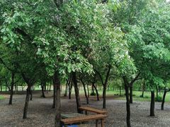 -长春公园(普阳街道)