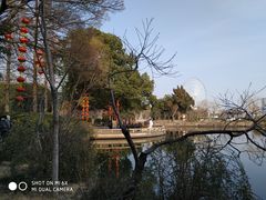 -无锡蠡湖国家湿地公园-蠡园