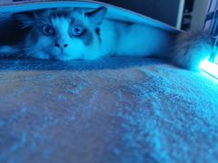 -零纪元VR体验馆·桌游(黄浦店)