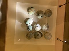 -呼和浩特博物馆