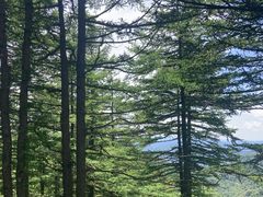 -驼梁风景区