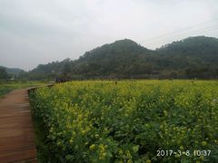 -红山村