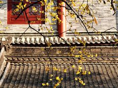 -西安大兴善寺