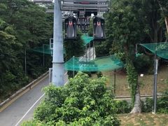 -圣淘沙天际线斜坡滑车