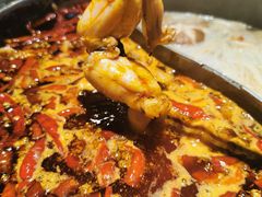 美蛙-销魂美蛙鱼头火锅(上海首店)