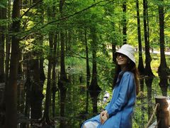 -桤木河湿地公园