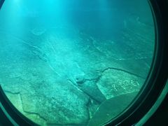 -白鹤梁水下博物馆