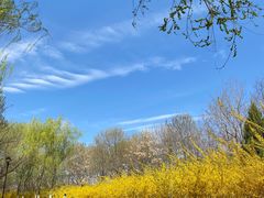 -永定河休闲森林公园