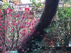 -汇景花园酒家(基立下道店)