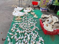 -文昌铺前老街