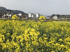 -环秀楼(黄山呈坎店)